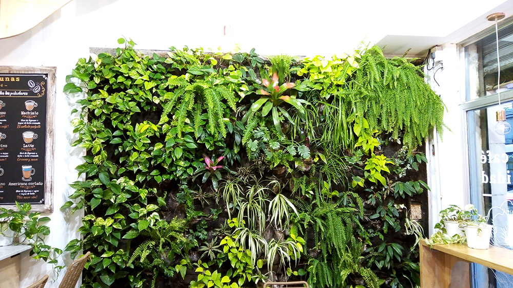 Jardín Urbano - Imágen de gelería